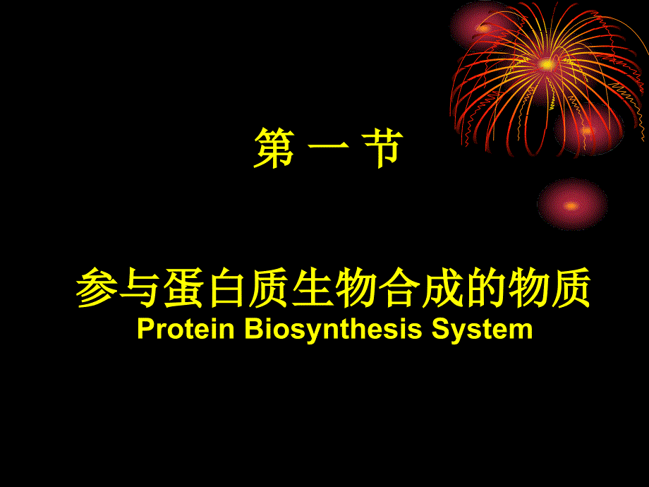 医学生化翻译PPT课件_第4页