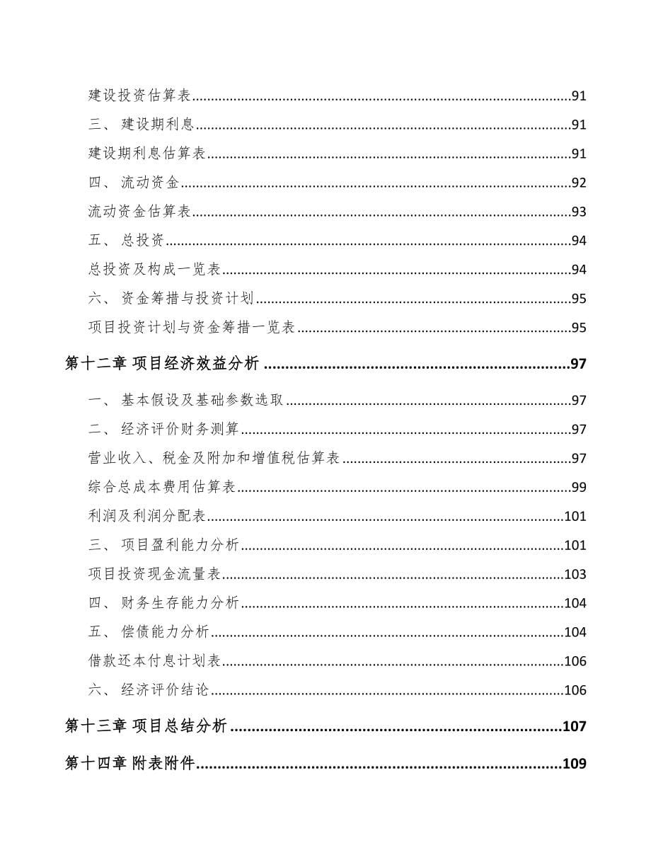 贵阳关于成立电池公司可行性研究报告_第5页