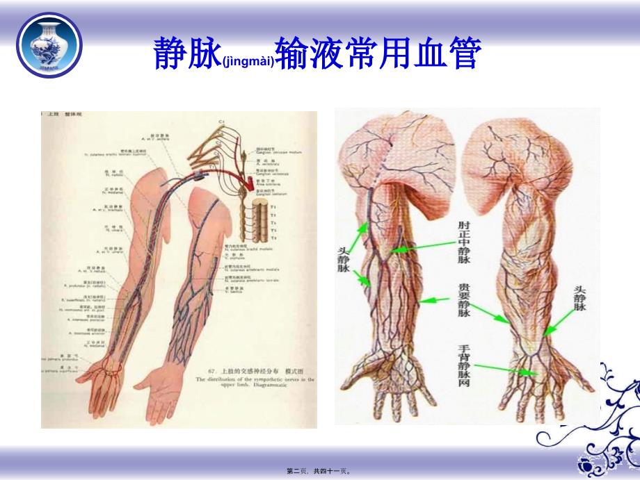 医学专题—危重病人血管保护.ppt_第2页