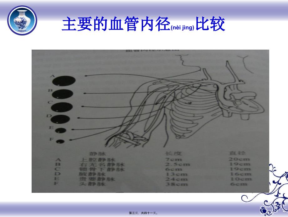 医学专题—危重病人血管保护.ppt_第3页