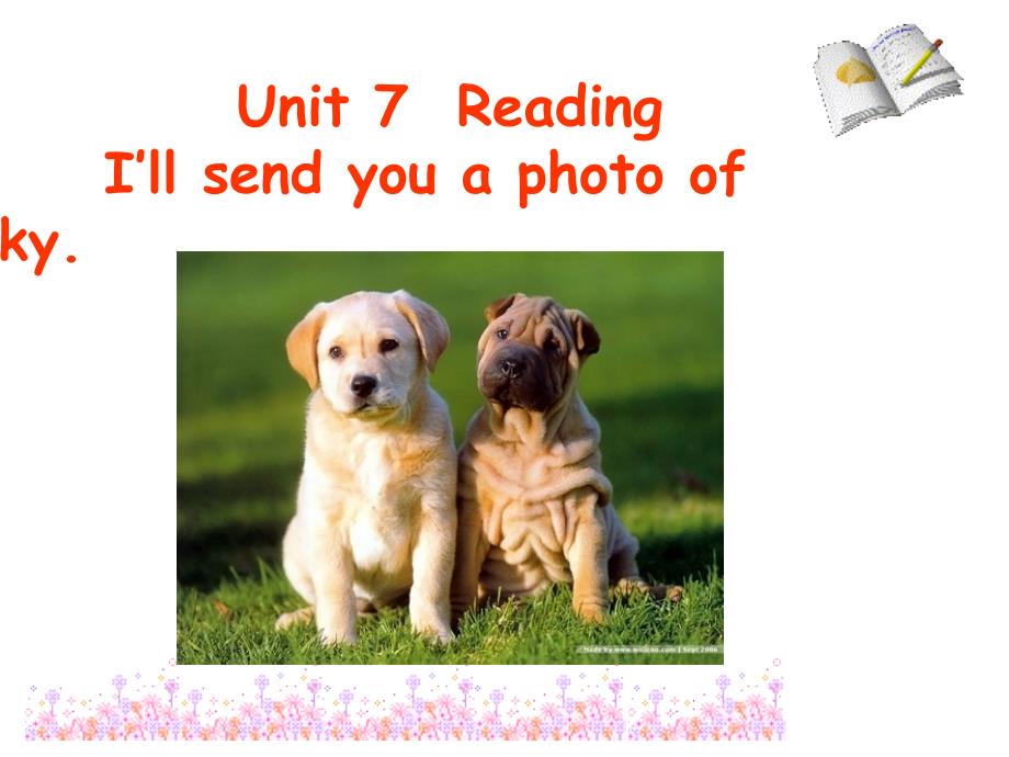 鲁教版英语八年级下Unit7Reading_I&#39;ll_send_you_a_photo_of_lucky_第3页