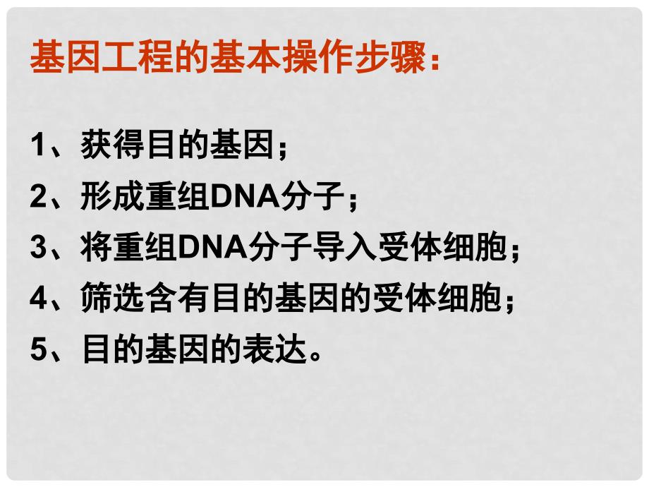 高中生物 第一章第一节 工具酶的发现和基因工程的诞生课件2 浙科版选修3_第4页