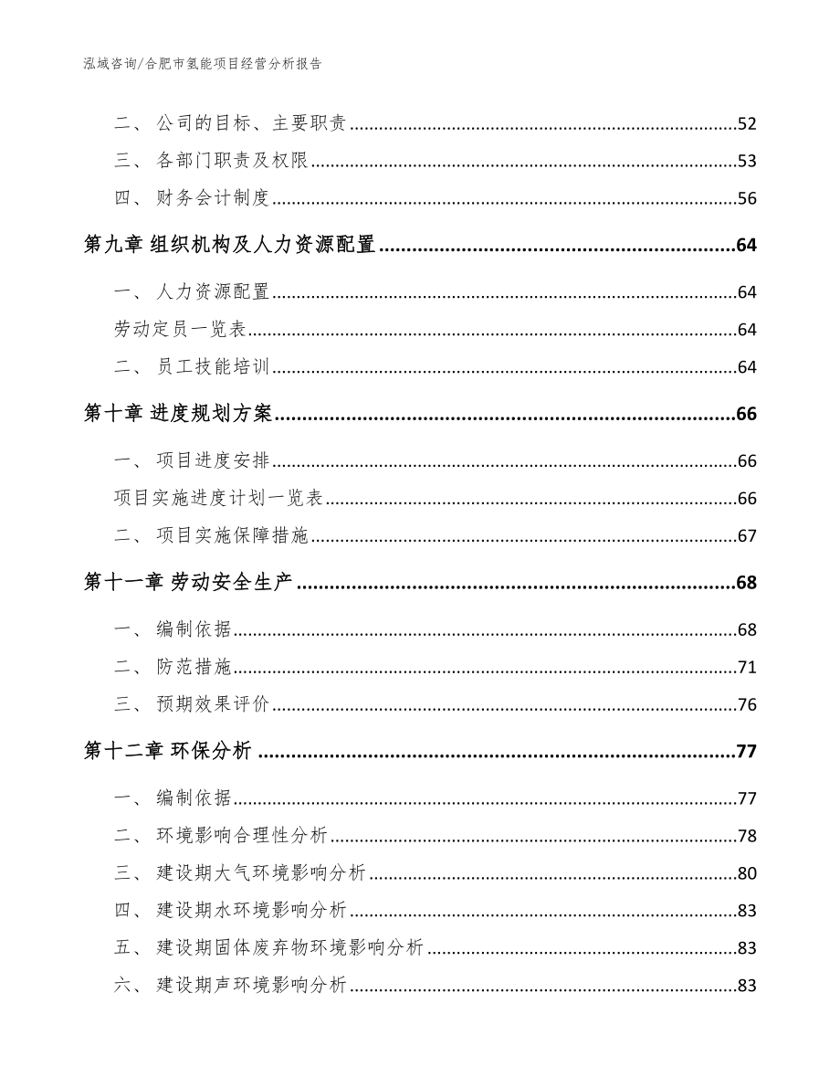 合肥市氢能项目经营分析报告模板_第4页