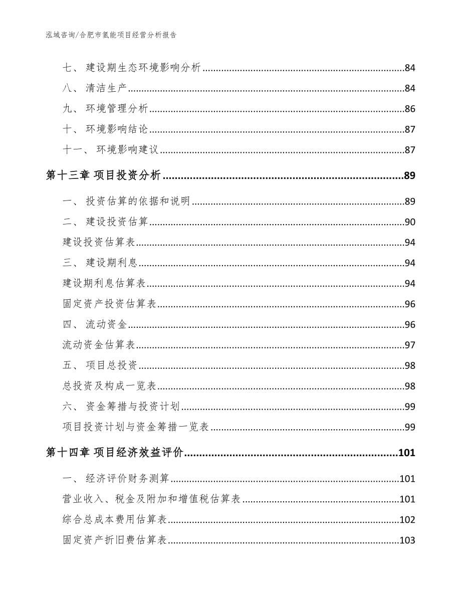 合肥市氢能项目经营分析报告模板_第5页