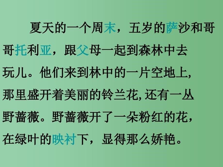 二年级语文下册第7单元28我是最弱小的吗课件4语文S版A_第5页