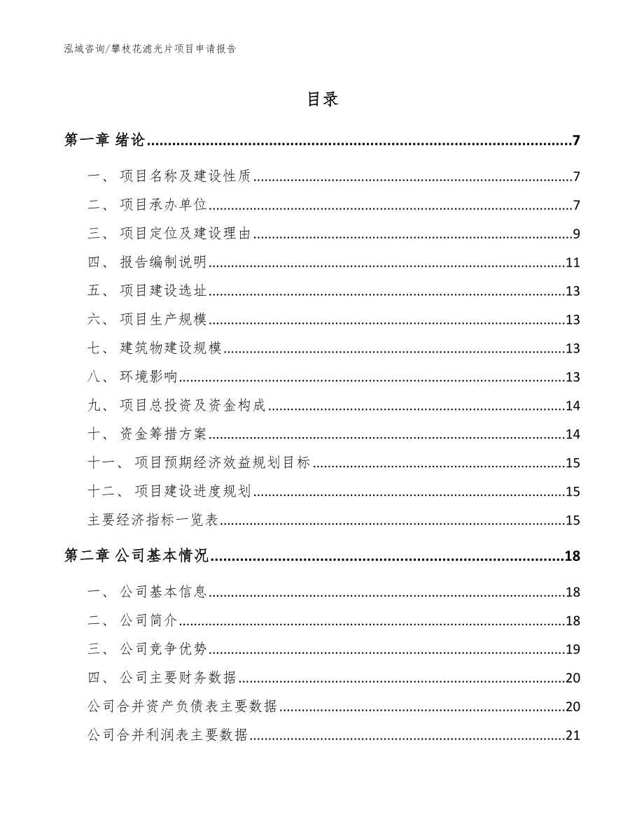 攀枝花滤光片项目申请报告（范文）_第1页