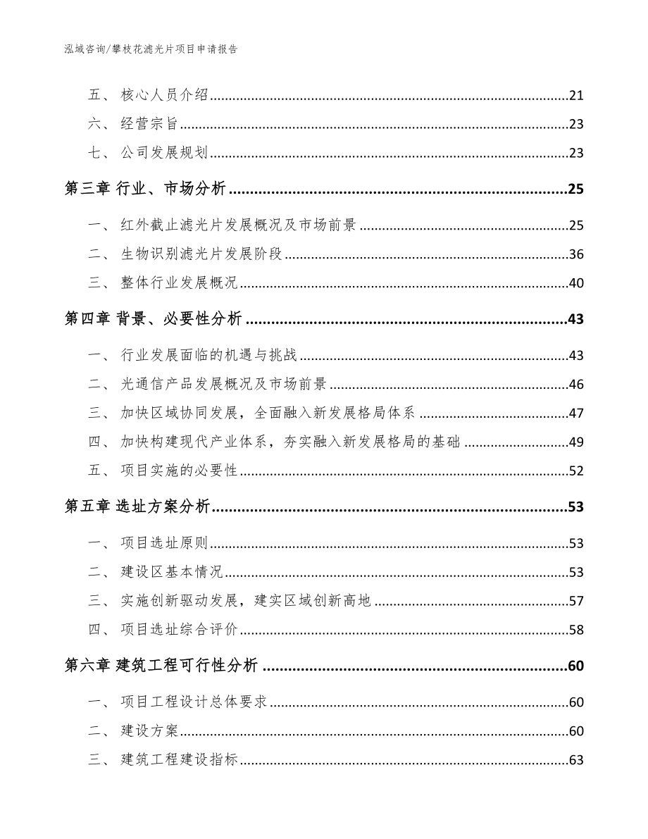 攀枝花滤光片项目申请报告（范文）_第2页
