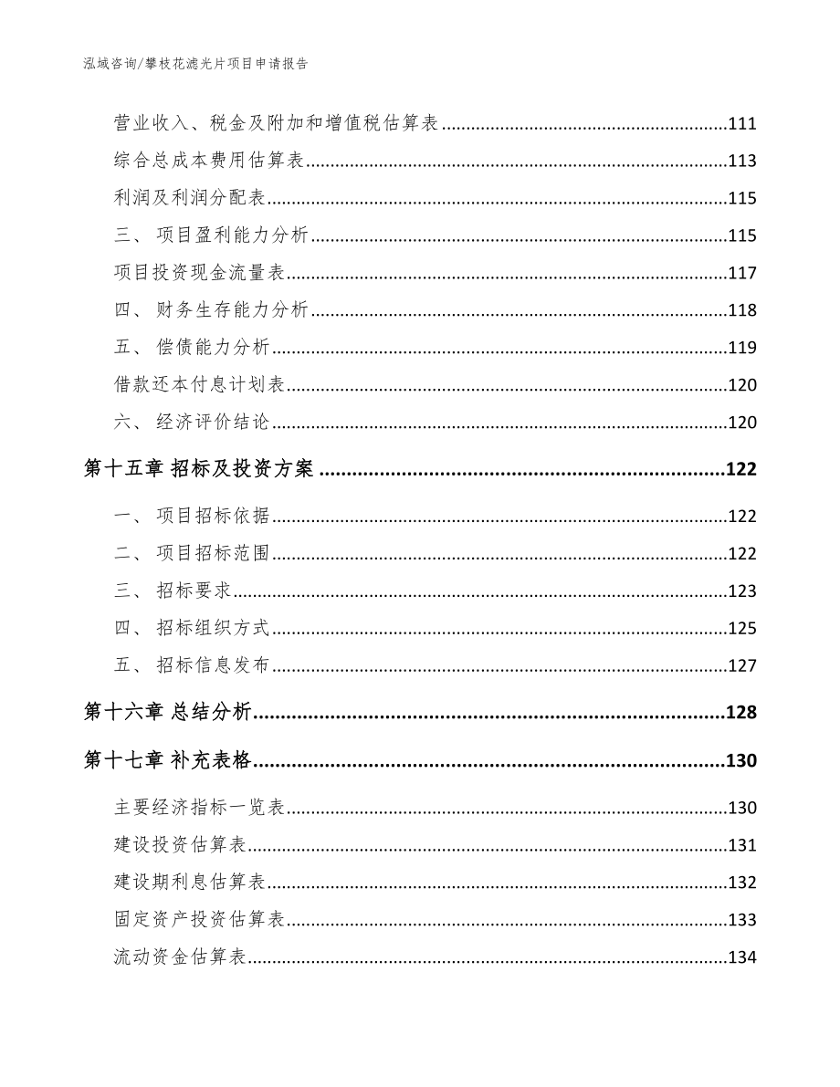 攀枝花滤光片项目申请报告（范文）_第5页