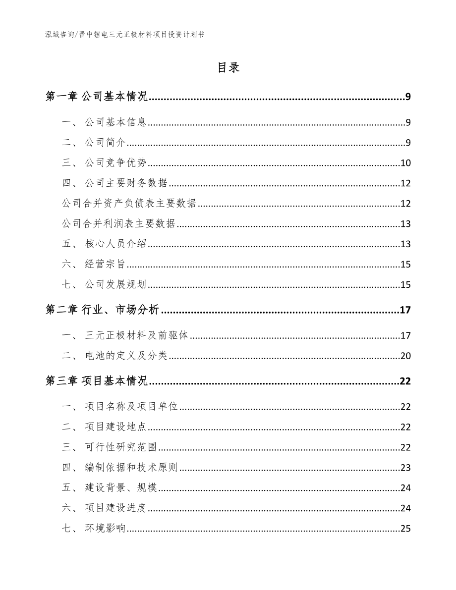 晋中锂电三元正极材料项目投资计划书（模板范本）_第2页