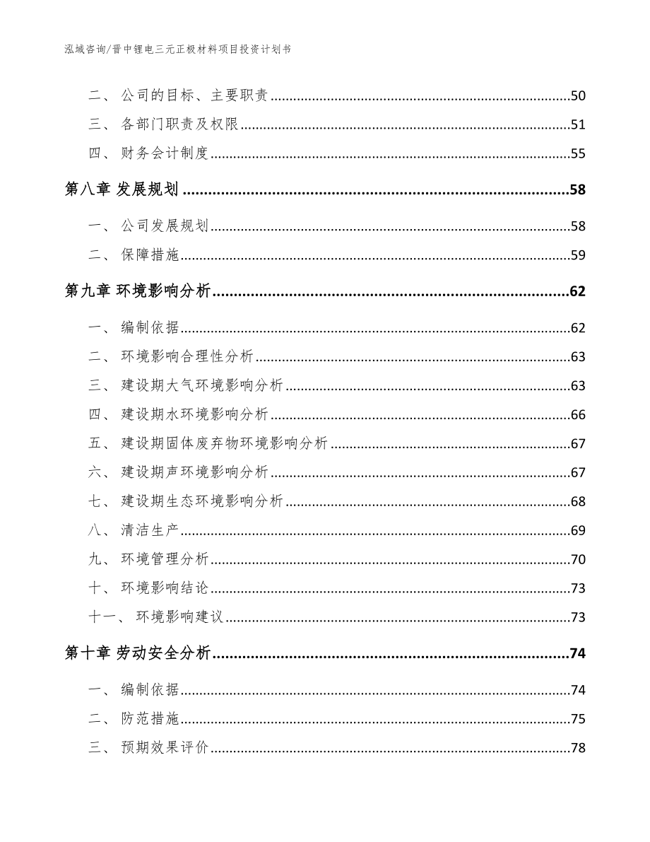 晋中锂电三元正极材料项目投资计划书（模板范本）_第4页