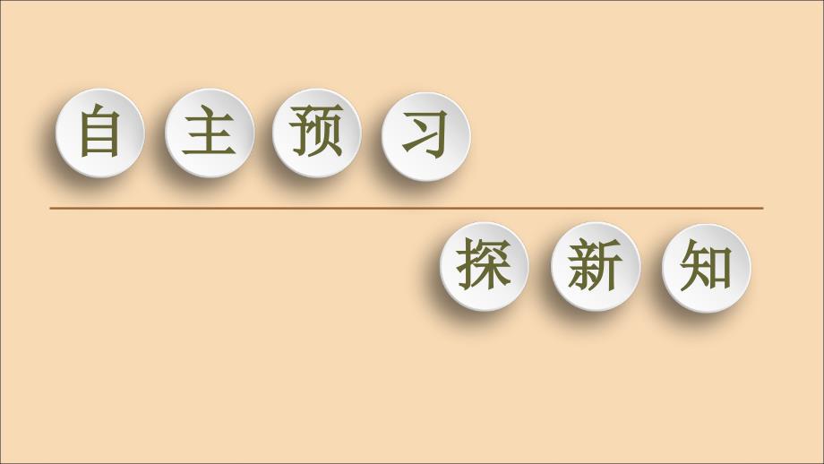 2022-2023学年高中历史专题4“亚洲觉醒”的先驱4“土耳其之父”凯末尔课件人民版选修_第3页