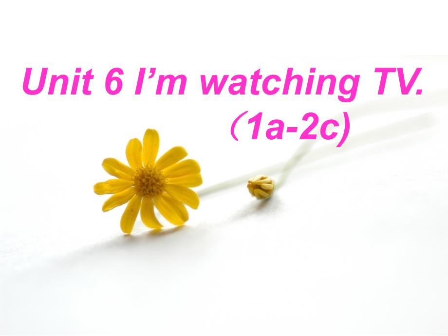 七年级英语下Unit6I&#39;mwatchingTV_第1页