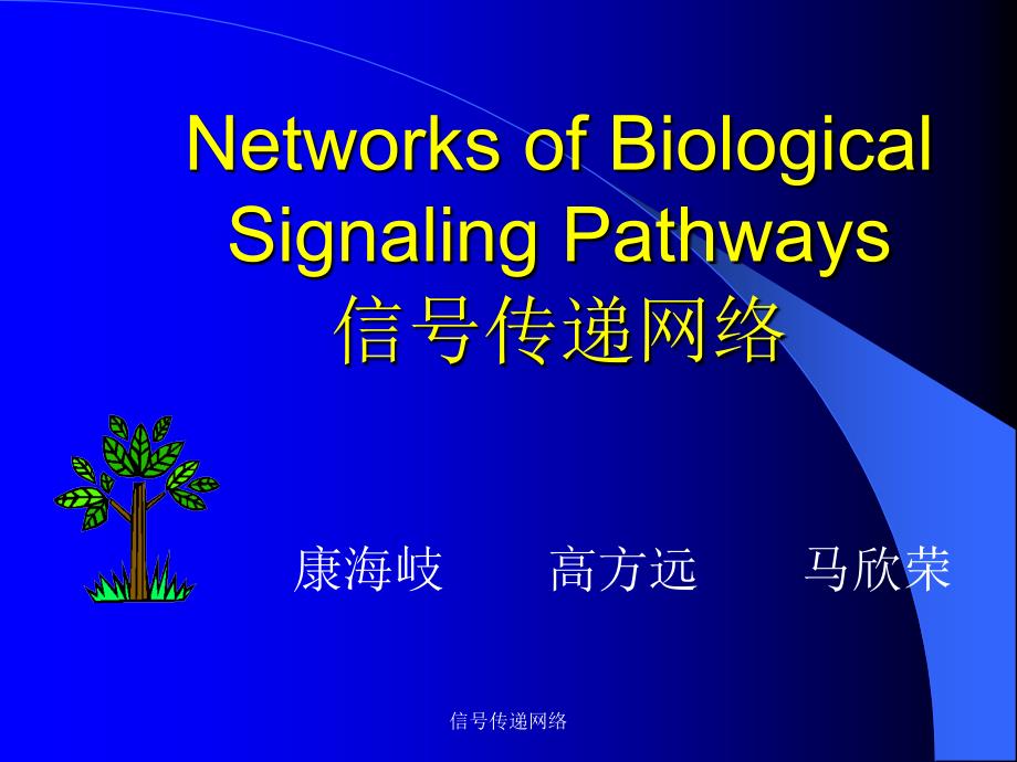 信号传递网络课件_第1页