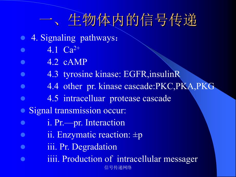 信号传递网络课件_第3页