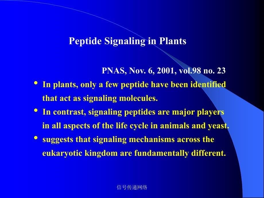 信号传递网络课件_第5页