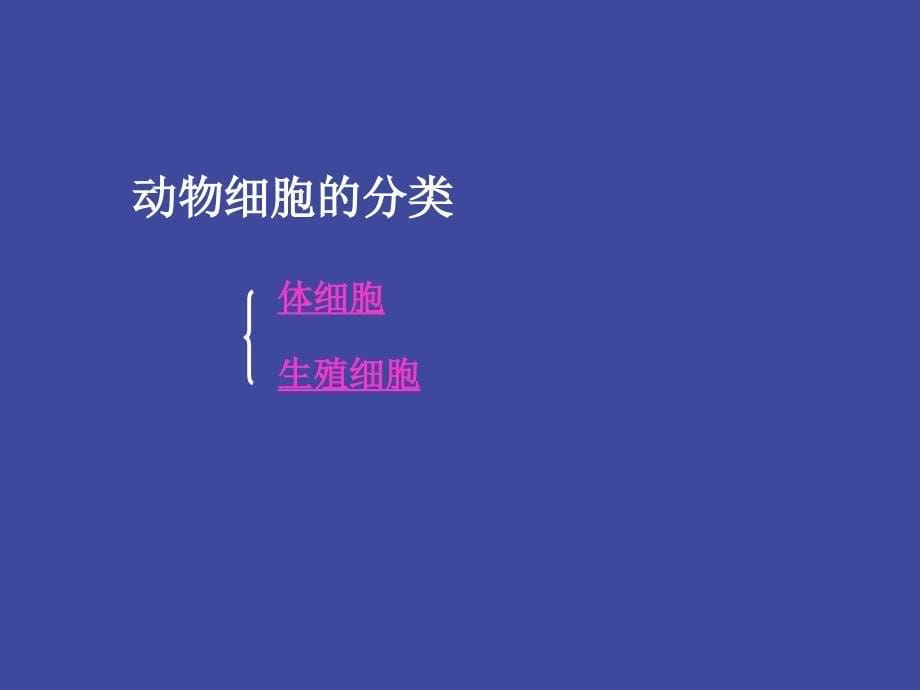 《胚胎发育机制新》PPT课件演示教学_第5页