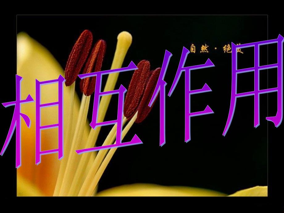 课前5分钟测定学习效率测定表_第1页