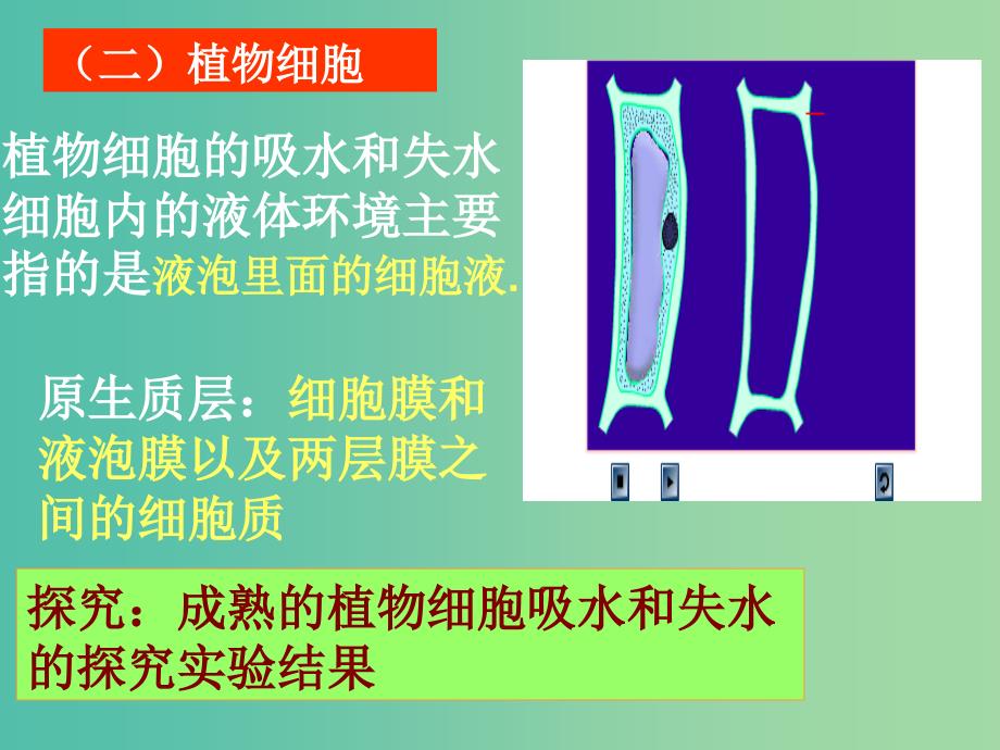 高中生物 4.1 物质跨膜运输的实例课件 新人教版必修1.ppt_第4页