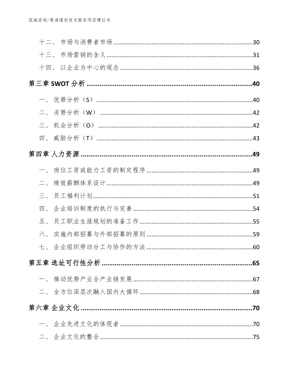 青海煤炭技术服务项目建议书【范文参考】_第3页