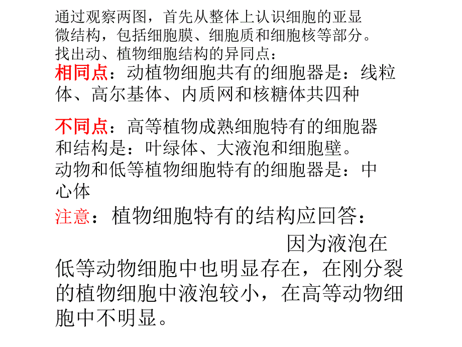 细胞的结构和功能课件_第3页