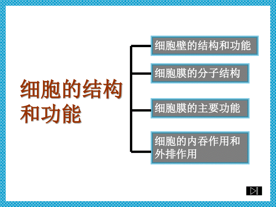 细胞的结构和功能课件_第4页