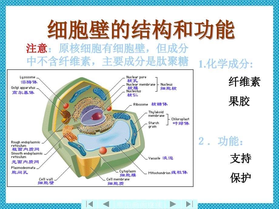 细胞的结构和功能课件_第5页