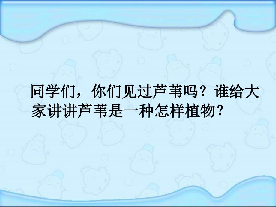 湘教版三年级下册故乡的芦苇课件_第3页