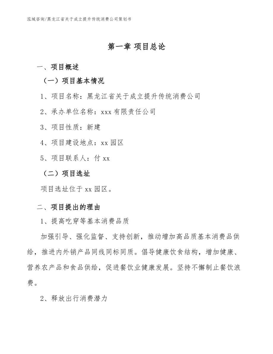 黑龙江省关于成立提升传统消费公司策划书_第5页