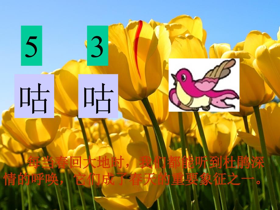 小学音乐顽皮的杜鹃 课件 (3)ppt_第3页