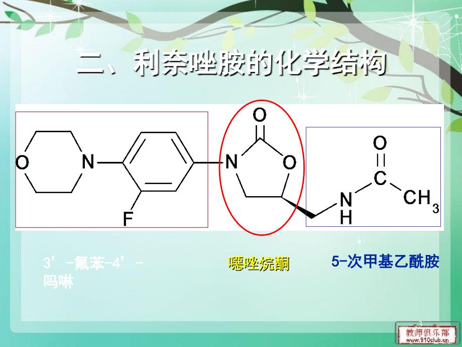 利奈唑胺的临床的价值参考PPT_第3页