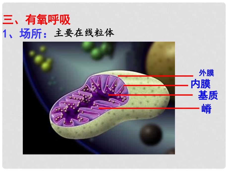 高中生物 第五章 细胞的能量供应和利用 5.3 ATP的主要来源细胞呼吸（第2课时）课件 新人教版必修1_第2页