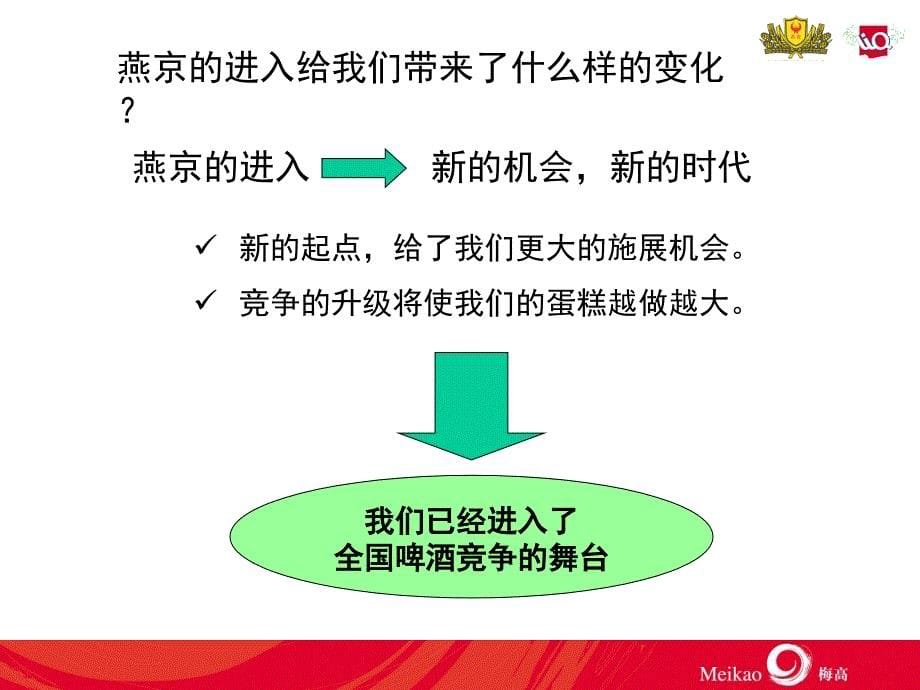 燕京漓泉持续成长新跨越2003年经营策略规划_第5页