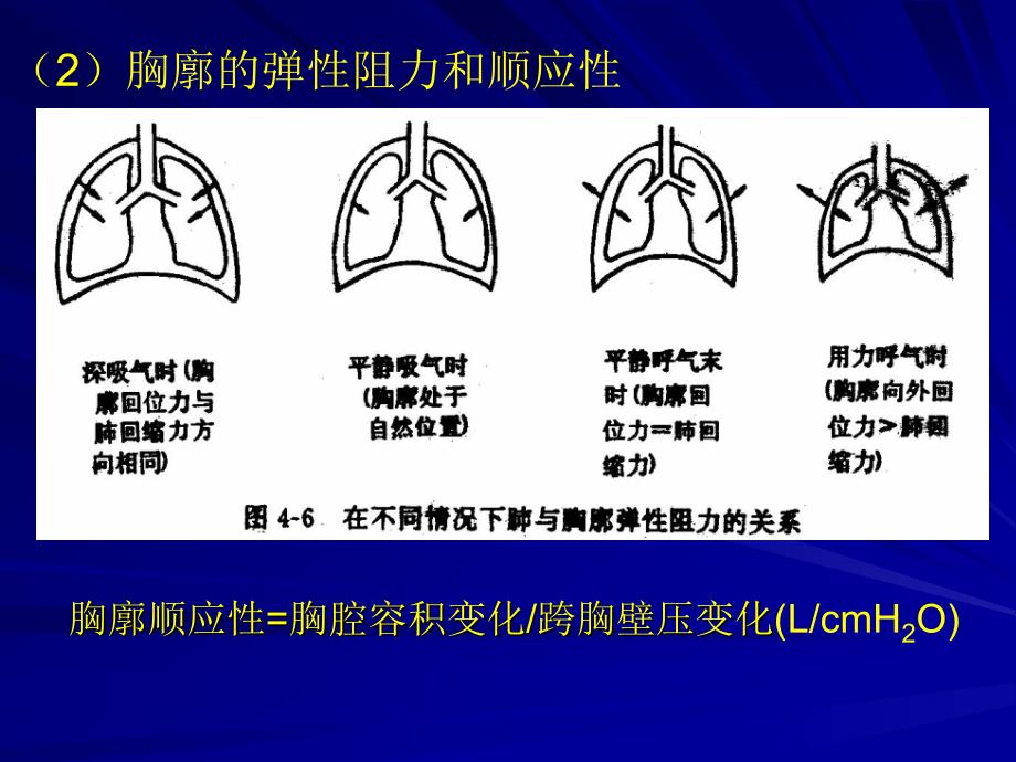 胸廓的弹性阻力和顺应性_第1页