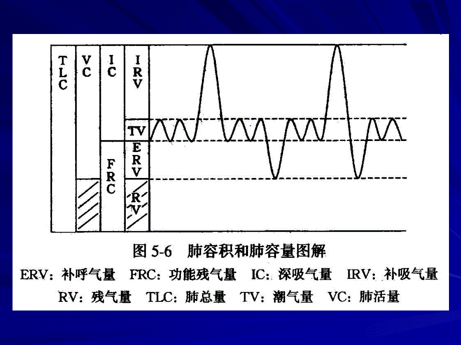 胸廓的弹性阻力和顺应性_第4页