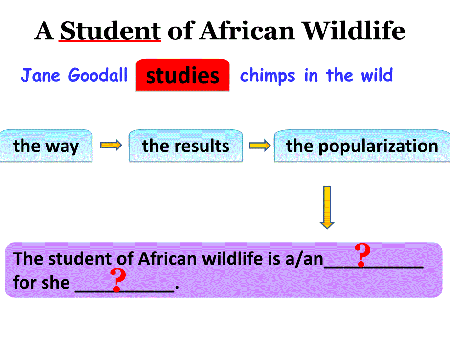 精品人教版高二英语必修五TeachingplanforAStudentofAfricanWildlife课件精品ppt课件_第4页