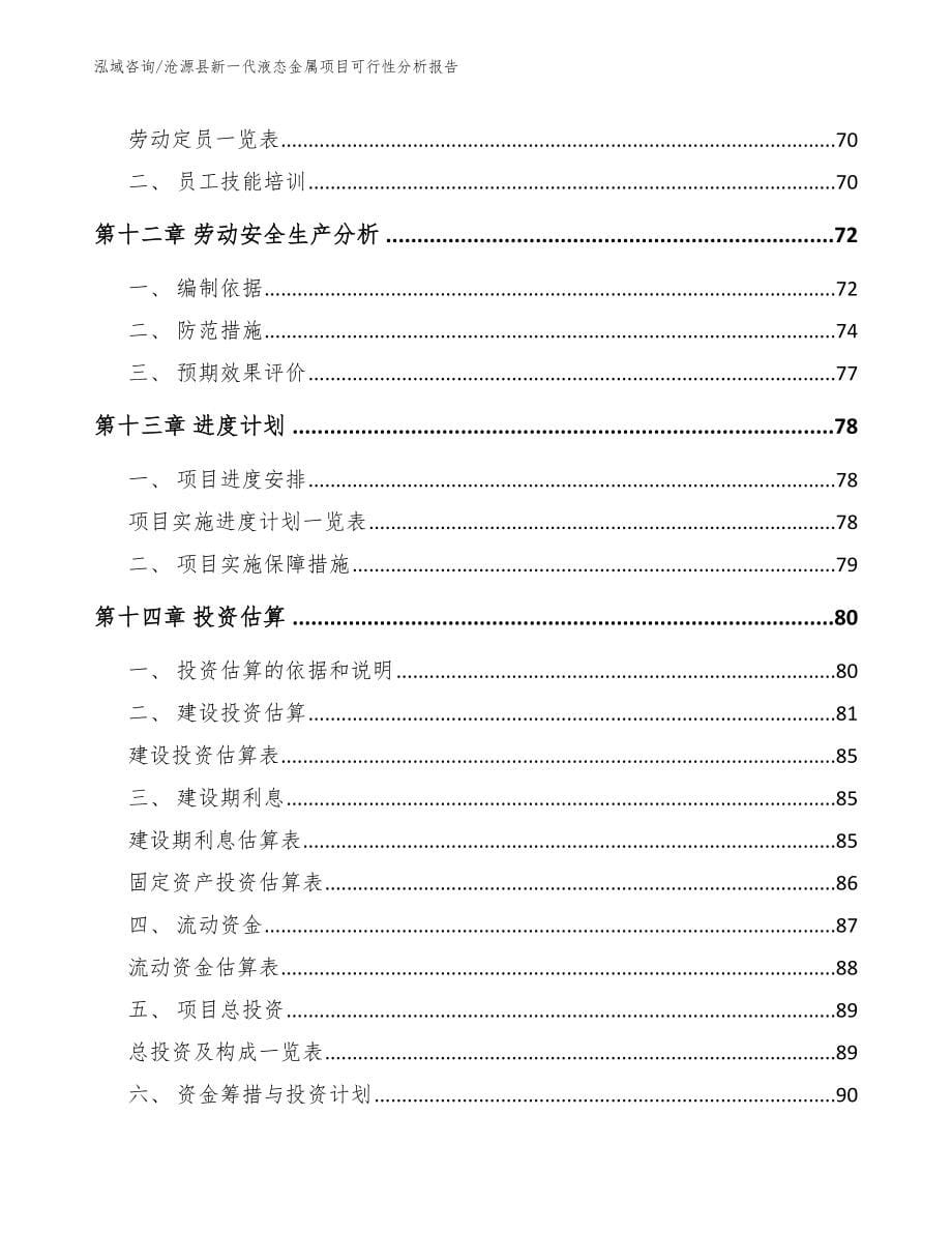 沧源县新一代液态金属项目可行性分析报告_第5页