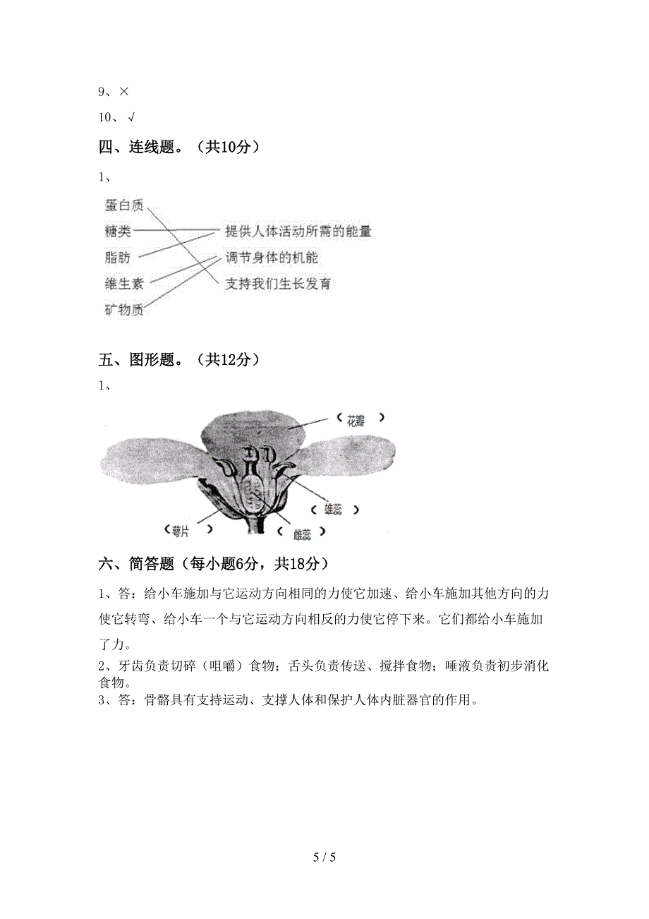 教科版四年级科学上册期末考试题(完整版).doc_第5页