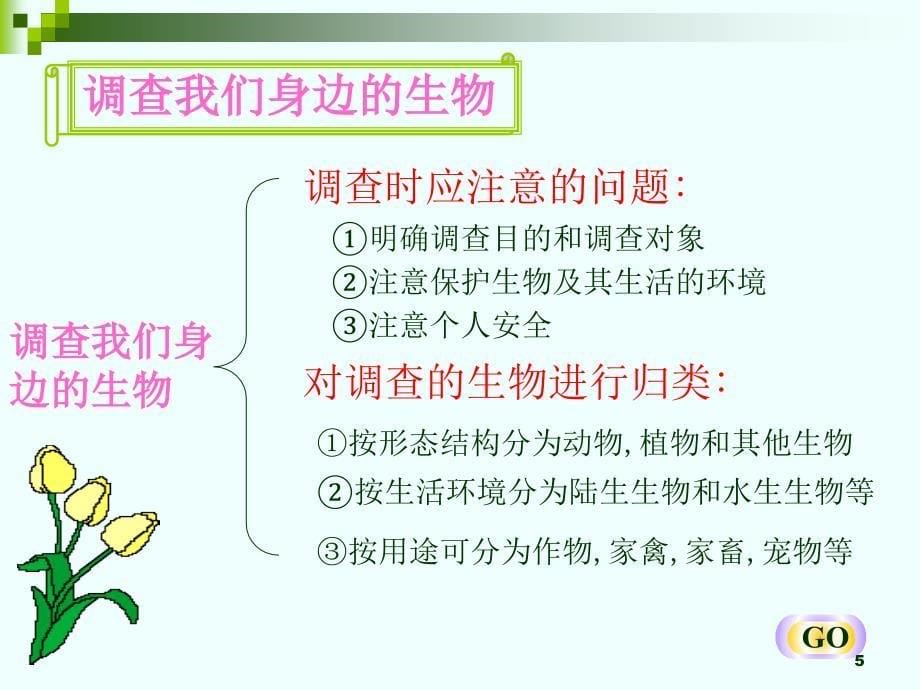 复习人教版七年级生物上册复习ppt课件_第5页