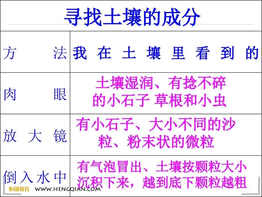 科学五年级上教科版34土壤中有什么课件_第5页