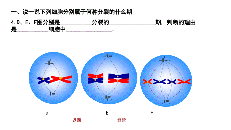 减数分裂练习题复习课程_第2页