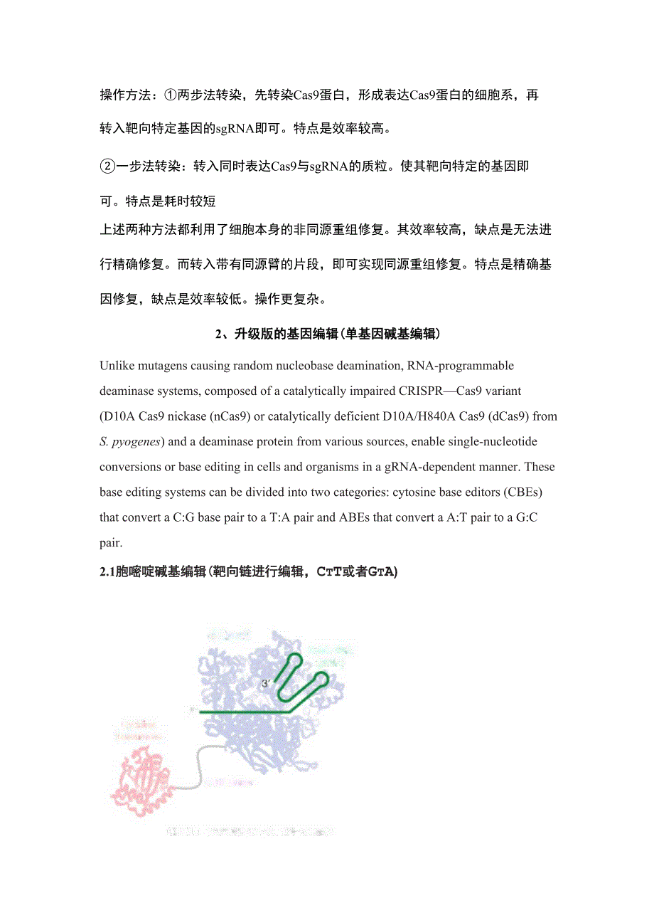 单基因编辑_第2页