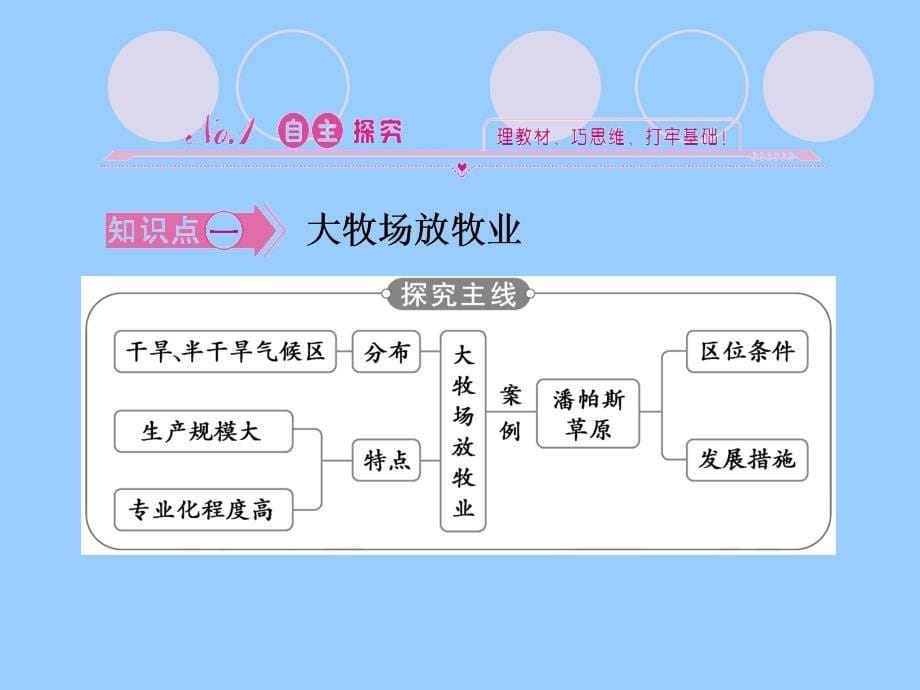 第三节以畜牧业为主的农业地域类型_第5页