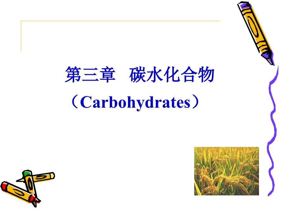 第三章碳水化合物_第3页