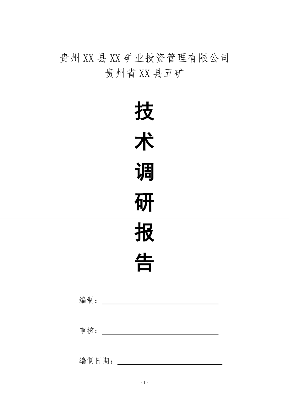 某集团公司并购矿井技术调研报告_第1页