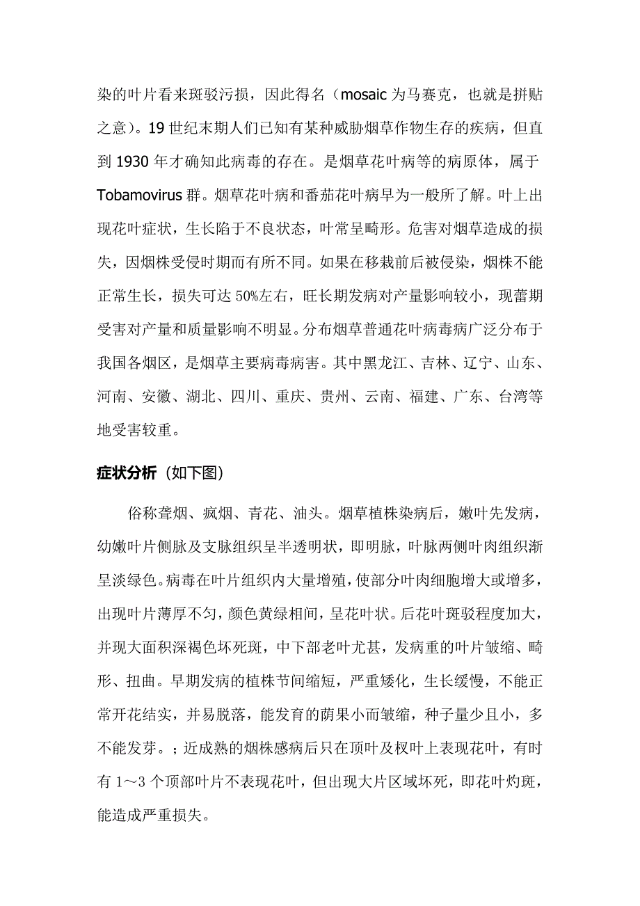 烟草普通花叶病论文_第2页