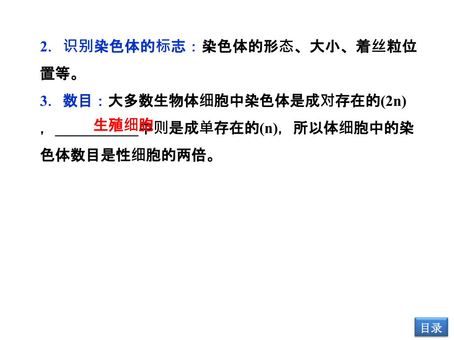 43减数分裂中的染色体行为_第4页