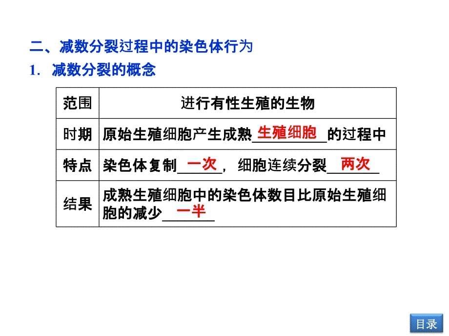 43减数分裂中的染色体行为_第5页