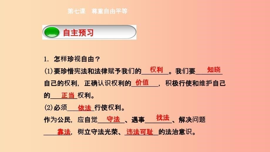 八年级道德与法治下册第四单元崇尚法治精神第七课尊重自由平等第2框自由平等的追求课件新人教版.ppt_第5页