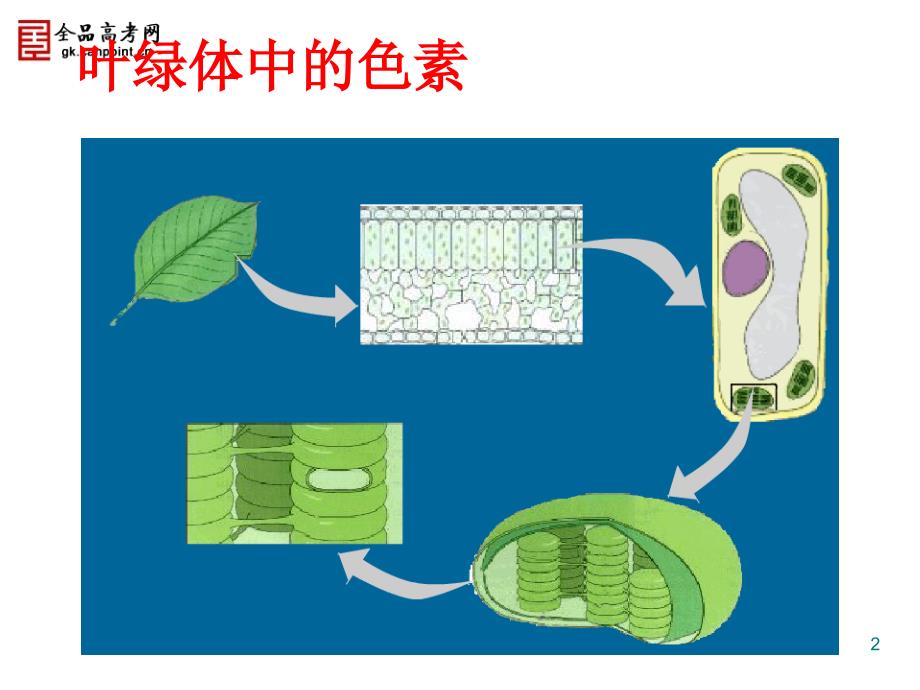 能量之源光与光合作用课件新人教必修1_第2页