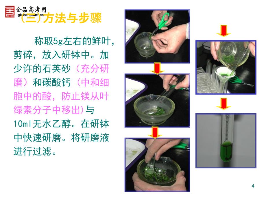 能量之源光与光合作用课件新人教必修1_第4页